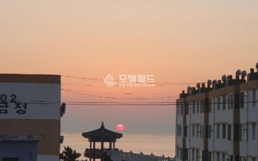 강원 속초시 동명동 ✅️ 속초 동명항앞 성수기전 계약할 최고 임대 물건(강추) 월세 매물번호 10390 사진 4